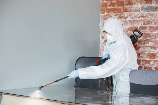 Best Water Damage & Mold Remediation in Tigard, OR