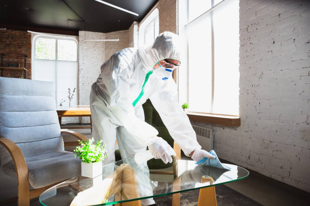 Best Comprehensive Air Testing for Mold Contaminants in Tigard, OR