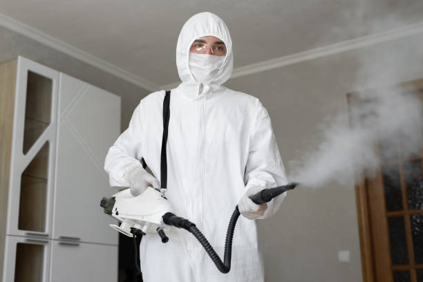 Best Indoor Air Quality Assessment in Tigard, OR