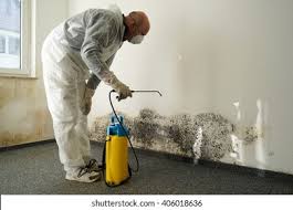 Best Residential Mold Inspection & Testing in Tigard, OR